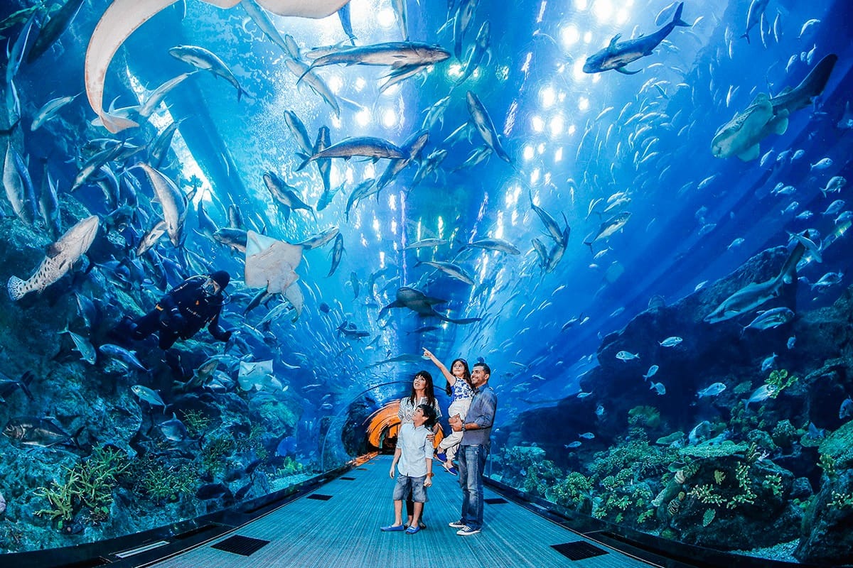Keajaiban Bawah Laut di Tengah Mall, Pesona Dubai Aquarium & Underwater Zoo