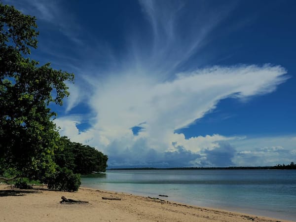 Pantai Kupa Kupa, Keindahan Alam Tropis di Maluku Utara
