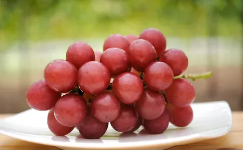 Ruby Roman Grapes, Anggur Mewah Jepang dengan Harga Fantastis