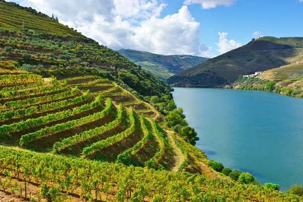 Lembah Douro, Permata Anggur Portugal yang Menakjubkan